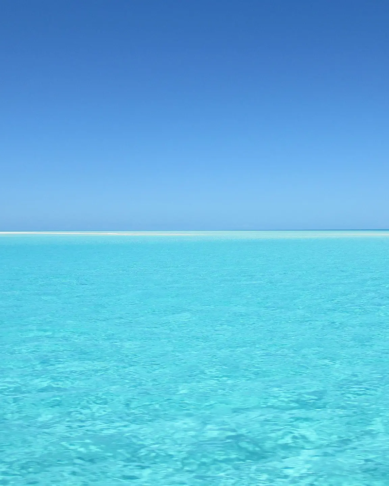 Blue Ocean in Marketing Communication