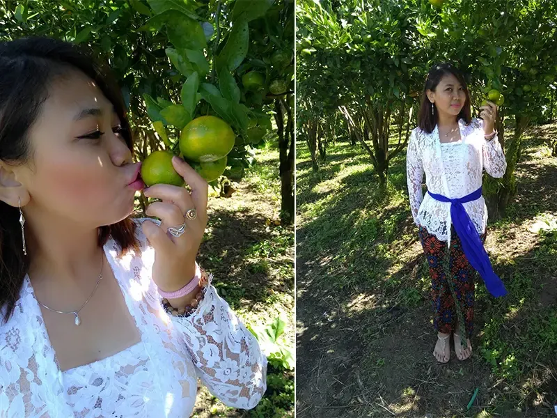 me orange garden balinese dress kebaya
